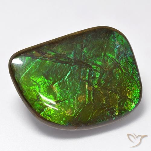 19.75ct 天然 マルチカラー アンモライト, ファンシー, オペーク