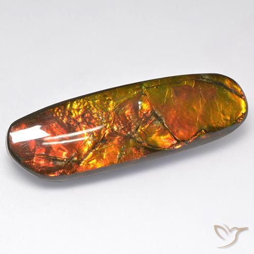 18.52ct 天然 マルチカラー アンモライト, ファンシー, オペーク