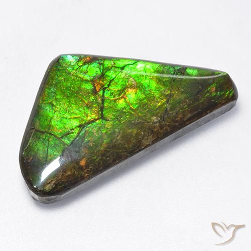10.43ct 天然 マルチカラー アンモライト, ファンシー, オペーク