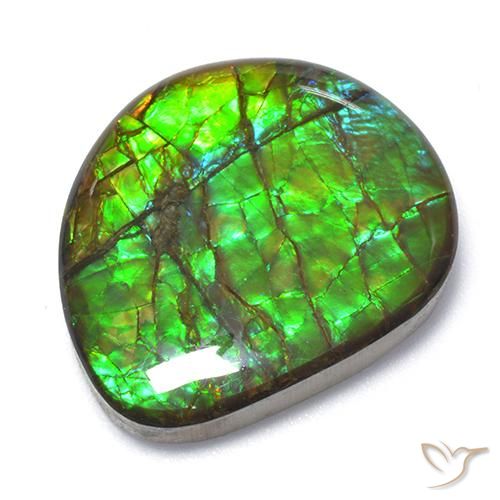18.62ct 天然 マルチカラー アンモライト, ファンシー, オペーク