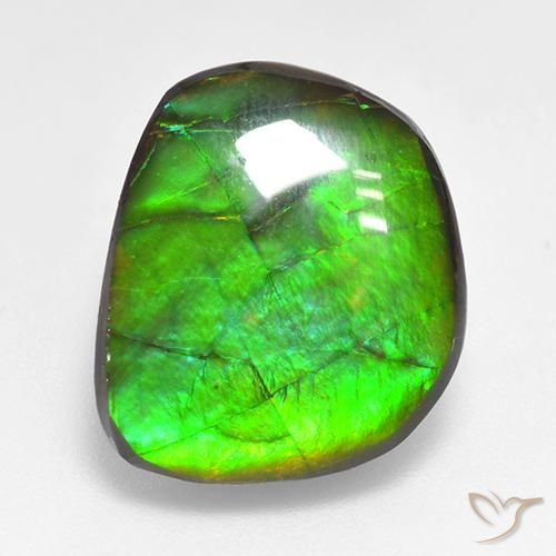 10.59ct 天然 マルチカラー アンモライト, ファンシー, オペーク