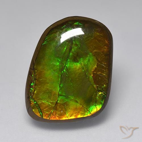 10.83ct 天然 マルチカラー アンモライト, ファンシー, オペーク