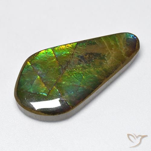 15.47ct 天然 マルチカラー アンモライト, ファンシー, オペーク