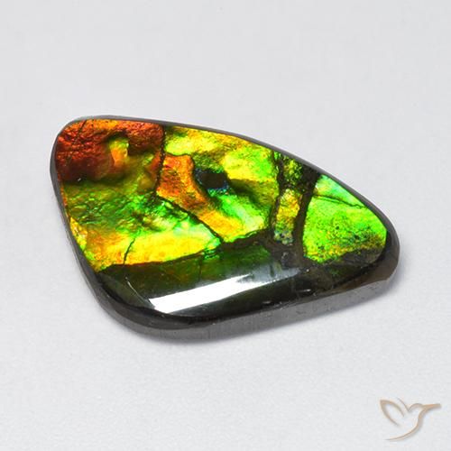 11.50ct 天然 マルチカラー アンモライト, ファンシー, オペーク