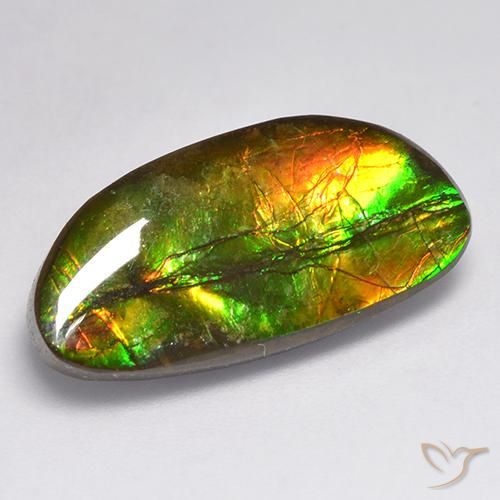 11.62ct 天然 マルチカラー アンモライト, ファンシー, オペーク