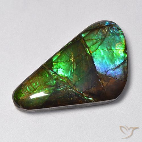 13.85ct 天然 マルチカラー アンモライト, ファンシー, オペーク
