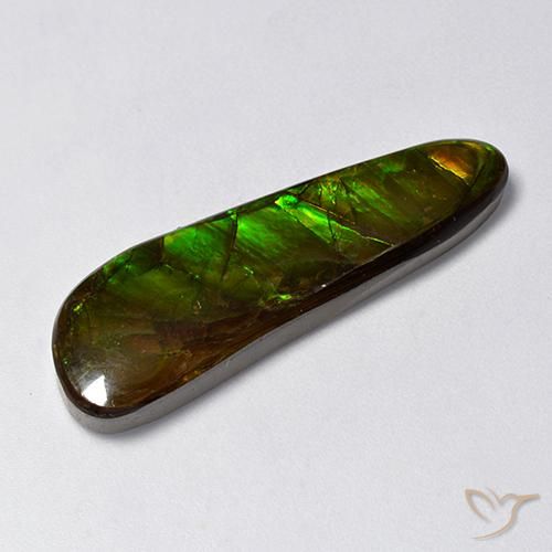 14.88ct 天然 マルチカラー アンモライト, ファンシー, オペーク
