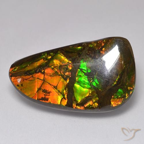 13.48ct 天然 マルチカラー アンモライト, ファンシー, オペーク