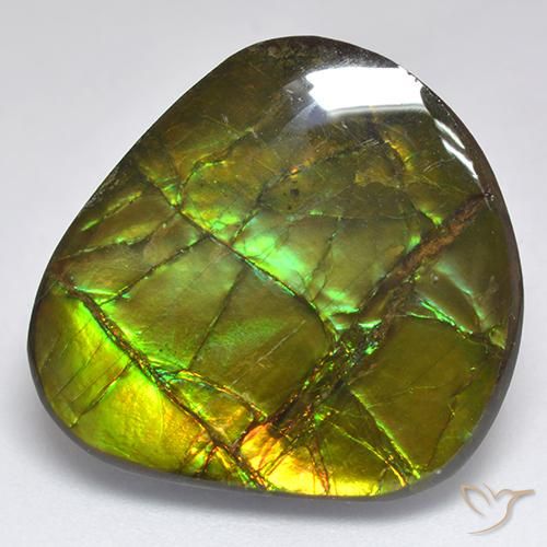 18.81ct 天然 マルチカラー アンモライト, ファンシー, オペーク