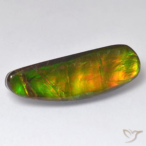 11.01ct 天然 マルチカラー アンモライト, ファンシー, オペーク