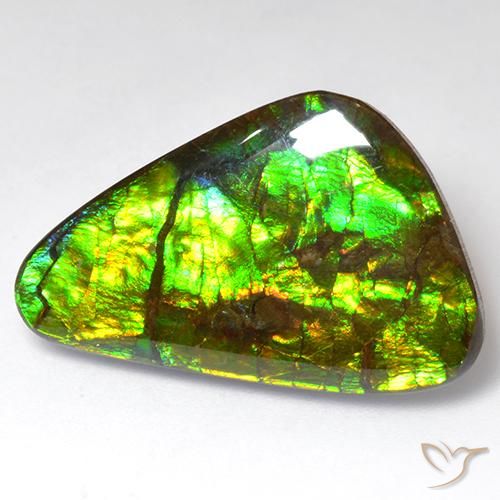 18.51ct 天然 マルチカラー アンモライト, ファンシー, オペーク