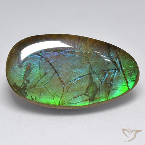 18.04ct 天然 マルチカラー アンモライト, ファンシー, オペーク