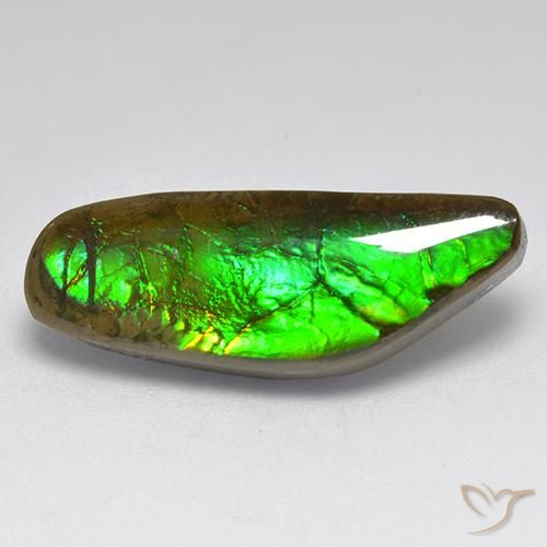 9.60ct 天然 マルチカラー アンモライト, ファンシー, オペーク
