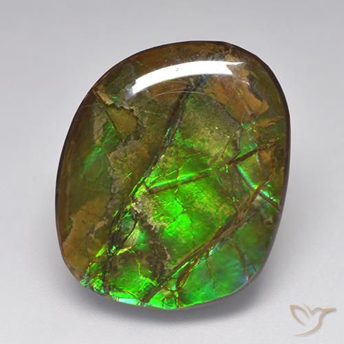 19.23ct 天然 マルチカラー アンモライト, ファンシー, オペーク