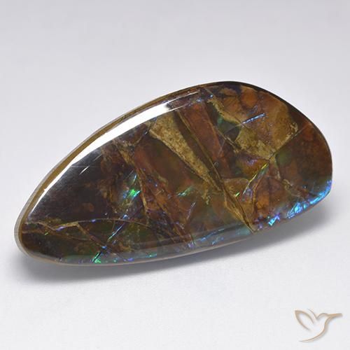 19.90ct 天然 マルチカラー アンモライト, ファンシー, オペーク