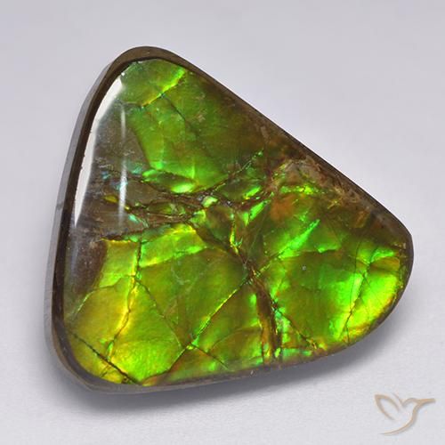 17.90ct 天然 マルチカラー アンモライト, ファンシー, オペーク