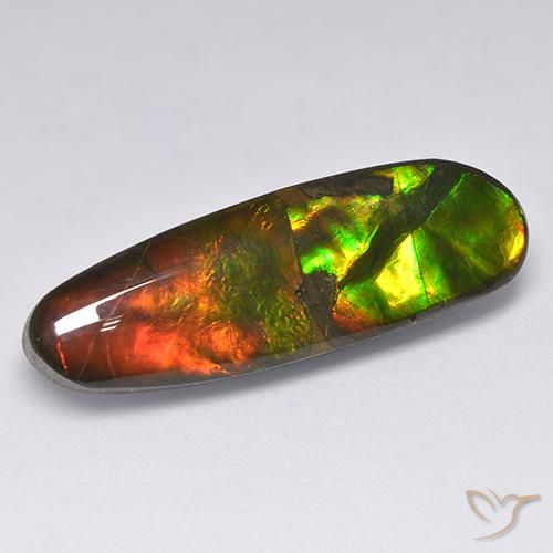 13.63ct 天然 マルチカラー アンモライト, ファンシー, オペーク