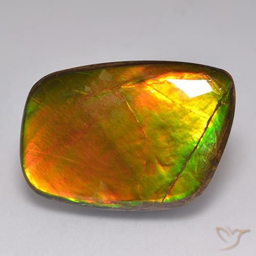 21.59ct 天然 マルチカラー アンモライト, ファンシー, オペーク