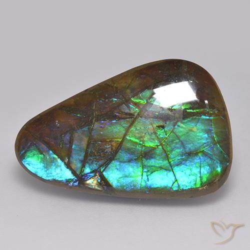 17.82ct 天然 マルチカラー アンモライト, ファンシー, オペーク