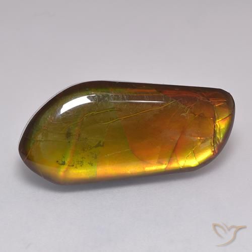 13.43ct 天然 マルチカラー アンモライト, ファンシー, オペーク