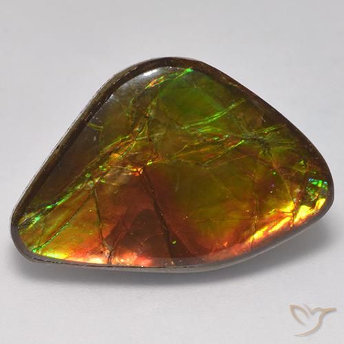 14.18ct 天然 マルチカラー アンモライト, ファンシー, オペーク