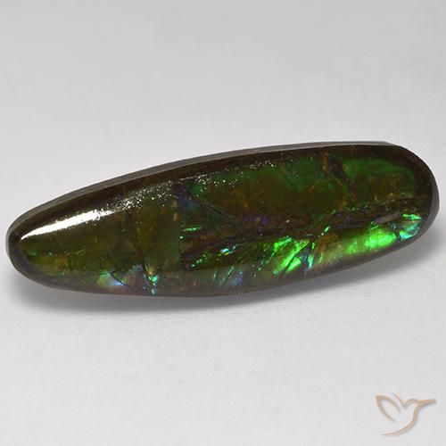 10.95ct 天然 マルチカラー アンモライト, ファンシー, オペーク