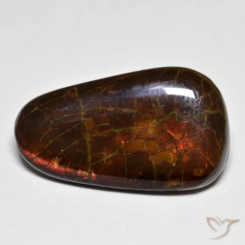 14.44ct 天然 マルチカラー アンモライト, ファンシー, オペーク