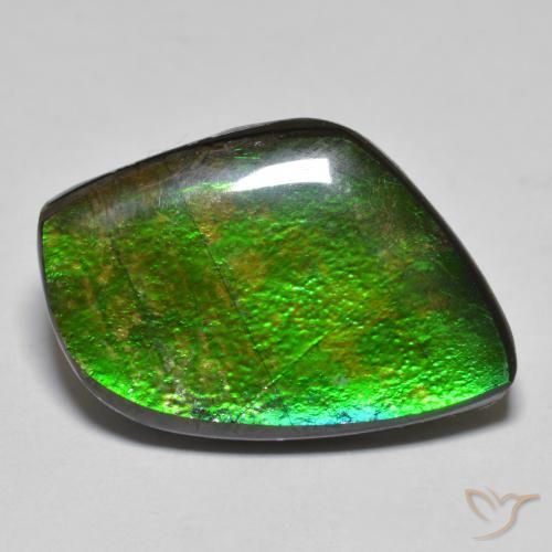 11.78ct 天然 マルチカラー アンモライト, ファンシー, オペーク