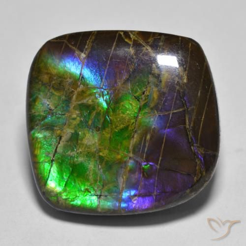 19.25ct 天然 マルチカラー アンモライト, ファンシー, オペーク