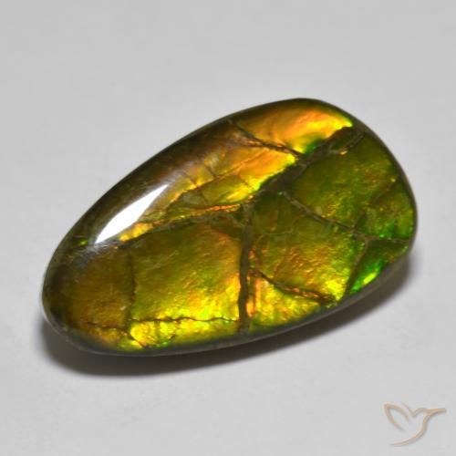 12.63ct 天然 マルチカラー アンモライト, ファンシー, オペーク