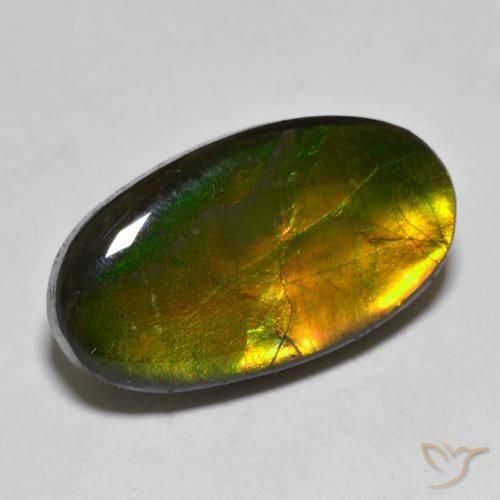 10.40ct 天然 マルチカラー アンモライト, 楕円形, オペーク
