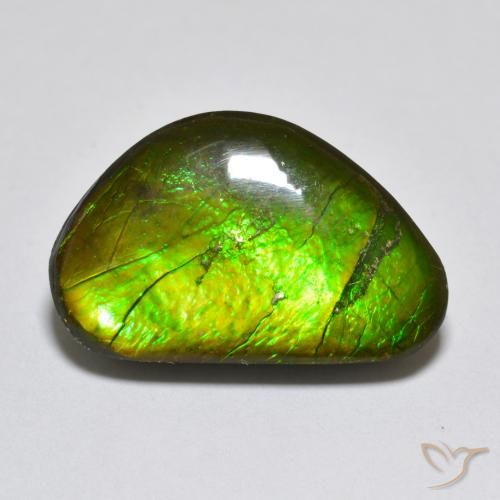 10.81ct 天然 マルチカラー アンモライト, ファンシー, オペーク