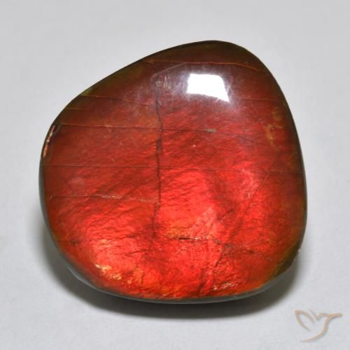 15.39ct 天然 マルチカラー アンモライト, ファンシー, オペーク