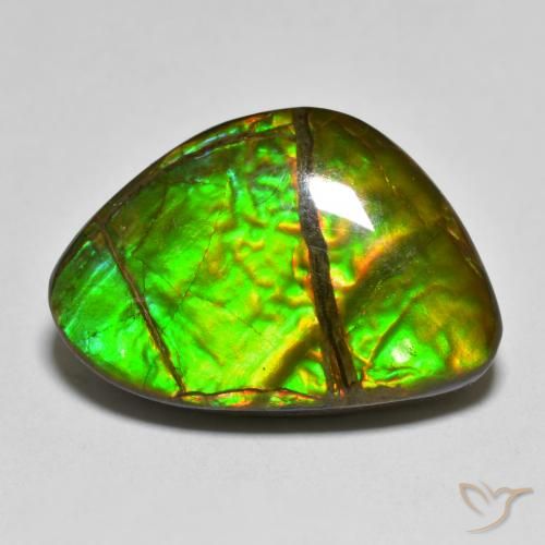 12.75ct 天然 マルチカラー アンモライト, ファンシー, オペーク