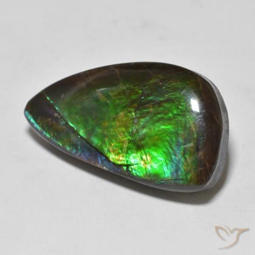 11.99ct 天然 マルチカラー アンモライト, ファンシー, オペーク