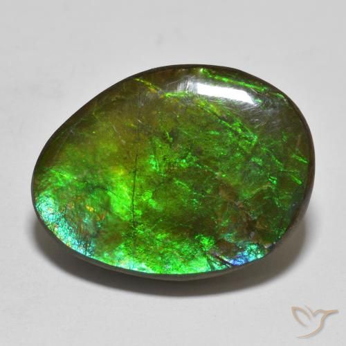 16.14ct 天然 マルチカラー アンモライト, ファンシー, オペーク