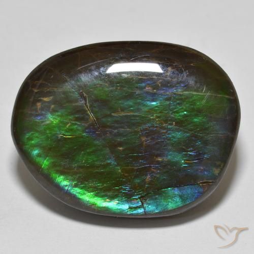 19.98ct 天然 マルチカラー アンモライト, ファンシー, オペーク