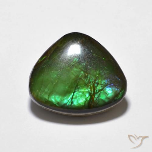 10.69ct 天然 マルチカラー アンモライト, ファンシー, オペーク