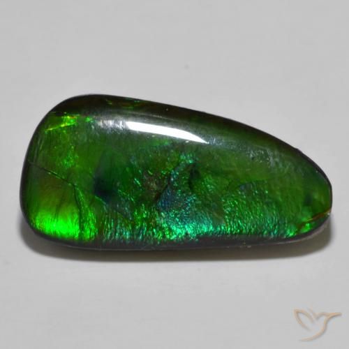 11.49ct 天然 マルチカラー アンモライト, ファンシー, オペーク