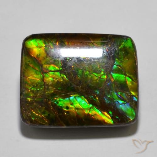 16.01ct 天然 マルチカラー アンモライト, クッション, オペーク