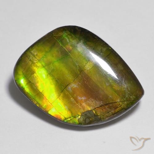 15.05ct 天然 マルチカラー アンモライト, ファンシー, オペーク