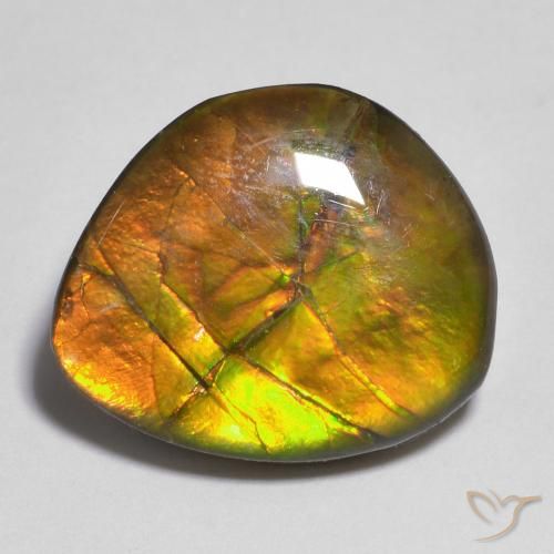10.33ct 天然 マルチカラー アンモライト, ファンシー, オペーク