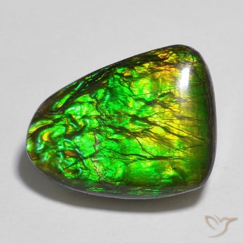 12.13ct 天然 マルチカラー アンモライト, ファンシー, オペーク
