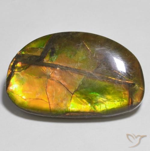 17.79ct 天然 マルチカラー アンモライト, ファンシー, オペーク