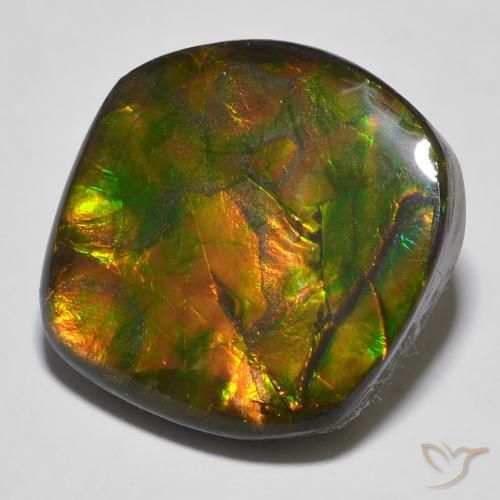 16.97ct 天然 マルチカラー アンモライト, ファンシー, オペーク