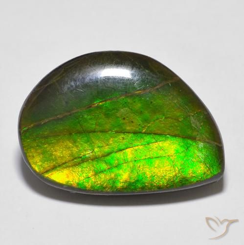 16.43ct 天然 マルチカラー アンモライト, ファンシー, オペーク