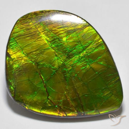 24.62ct 天然 マルチカラー アンモライト, ファンシー, オペーク