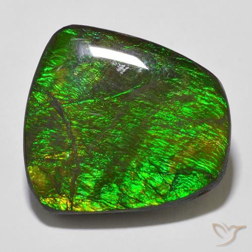 18.43ct 天然 マルチカラー アンモライト, ファンシー, オペーク