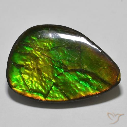 24.89ct 天然 マルチカラー アンモライト, ファンシー, オペーク