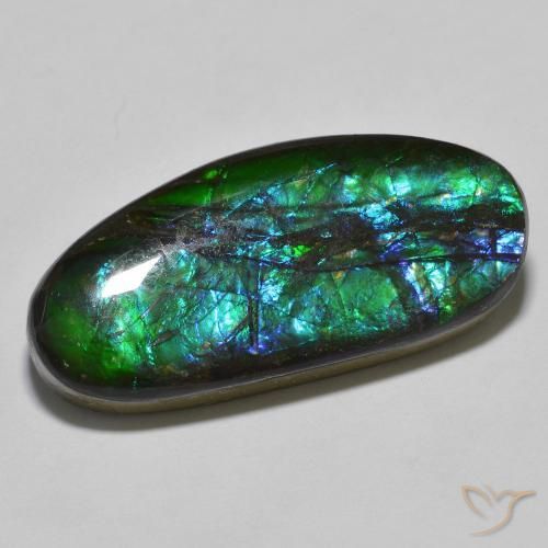18.92ct 天然 マルチカラー アンモライト, ファンシー, オペーク